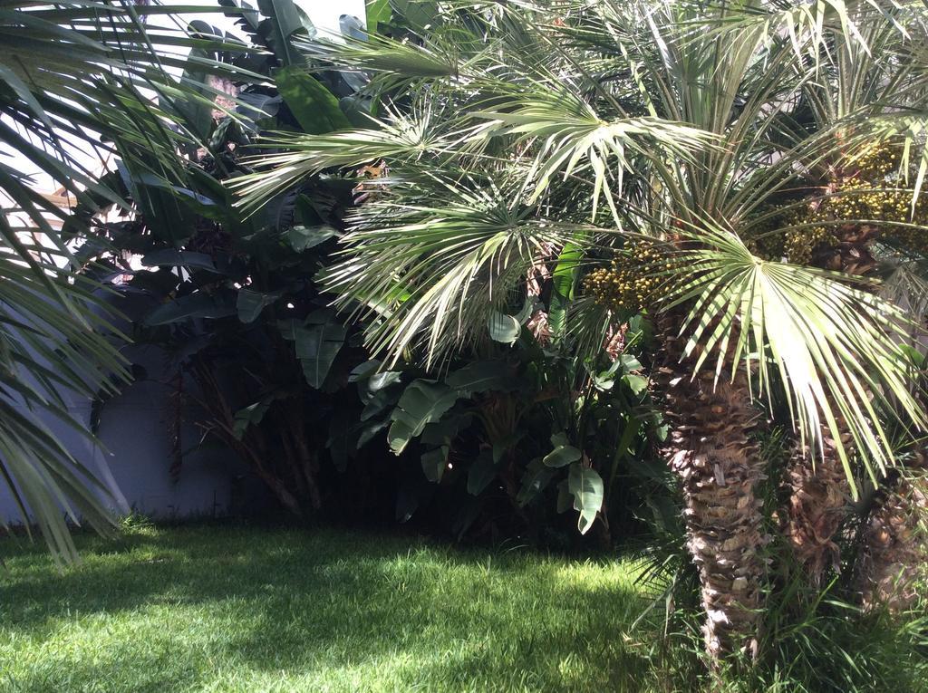 Ucciardhome Hotel Palermo Dış mekan fotoğraf